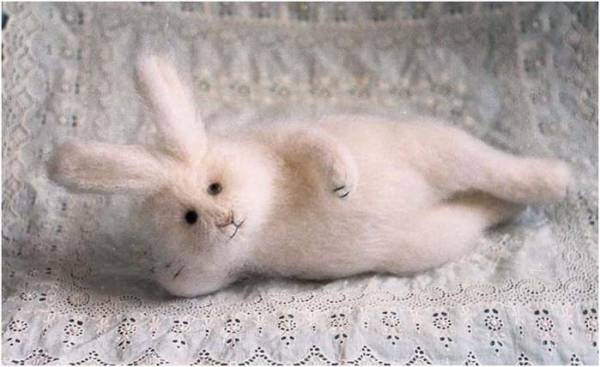 103491358_large_4080226_51971021_120309_1924_49